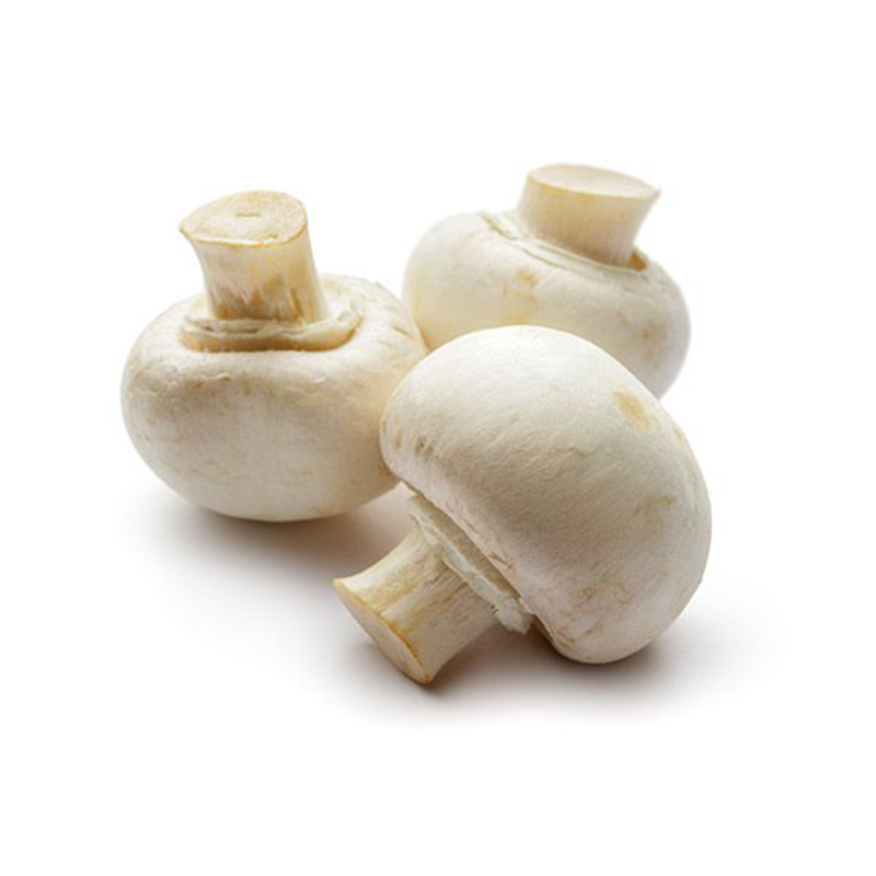 Champignon blanc